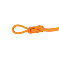 マムート（MAMMUT）8.7 アルパイン センダー ドライ ロープ 30m 2010-06560