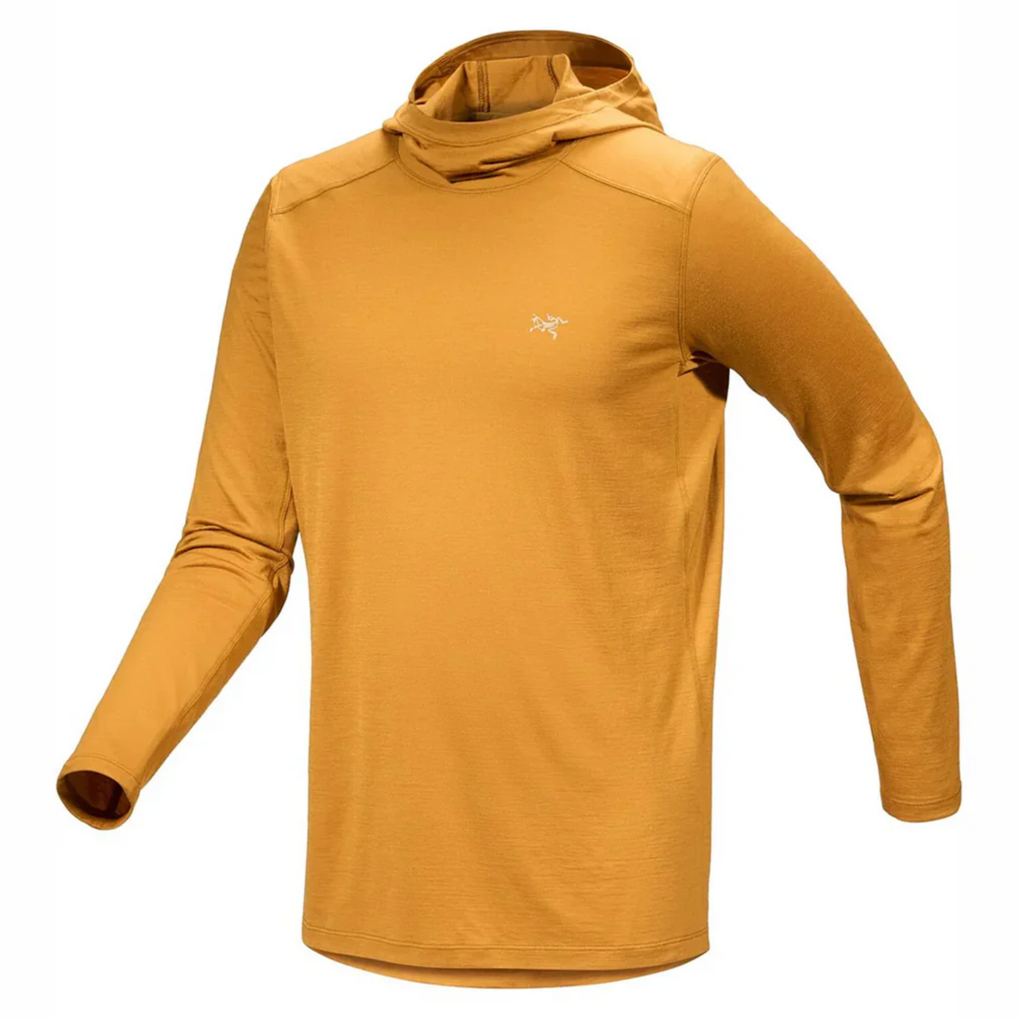 アークテリクス（ARC'TERYX） イオニア メリノウール フーディ メンズ（Ionia Merino Wool Hoody M'S） X000006851 カラー：Yukon