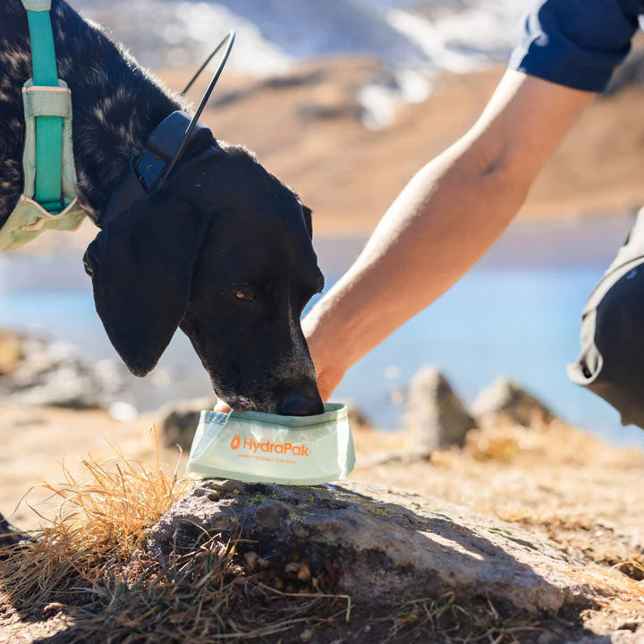 Hydrapak Rover Dog Bowl, 500ml, DB01S, Color: Sutro Green