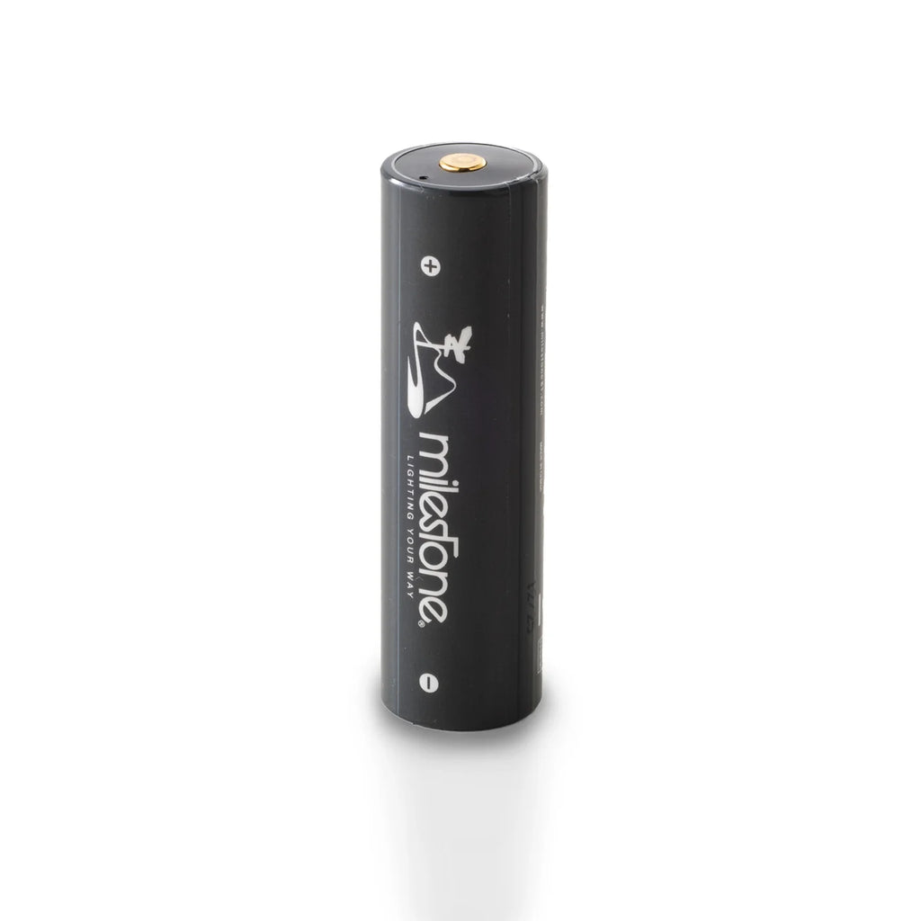 milestone MS-LB4 “Smart Mobile Battery PRO”