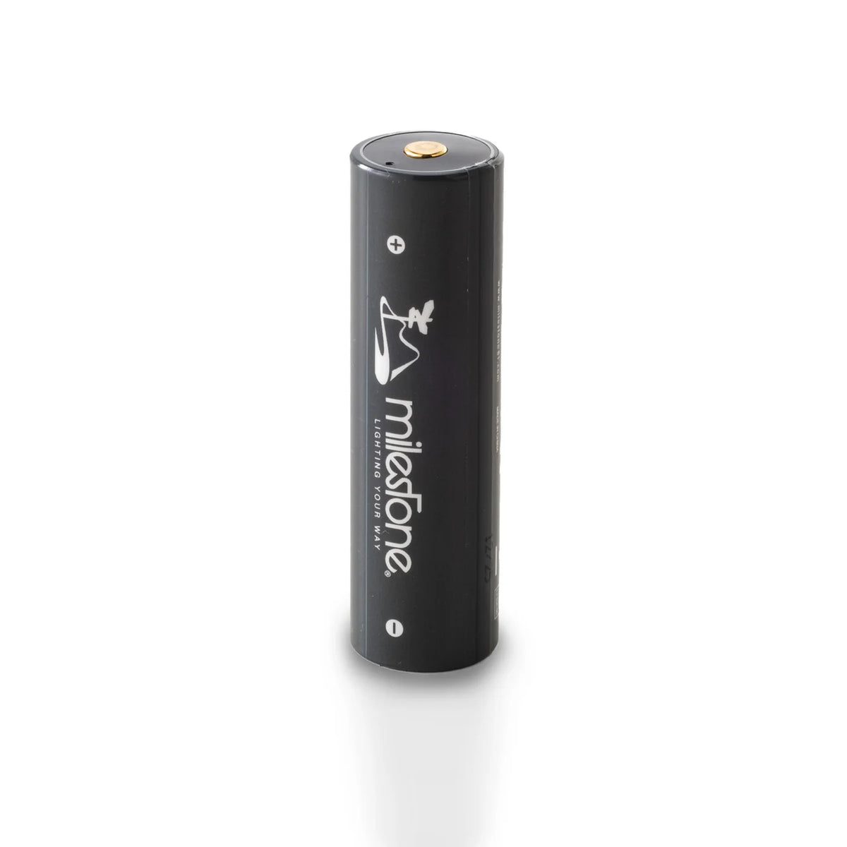 milestone MS-i2 “Endurance PRO”