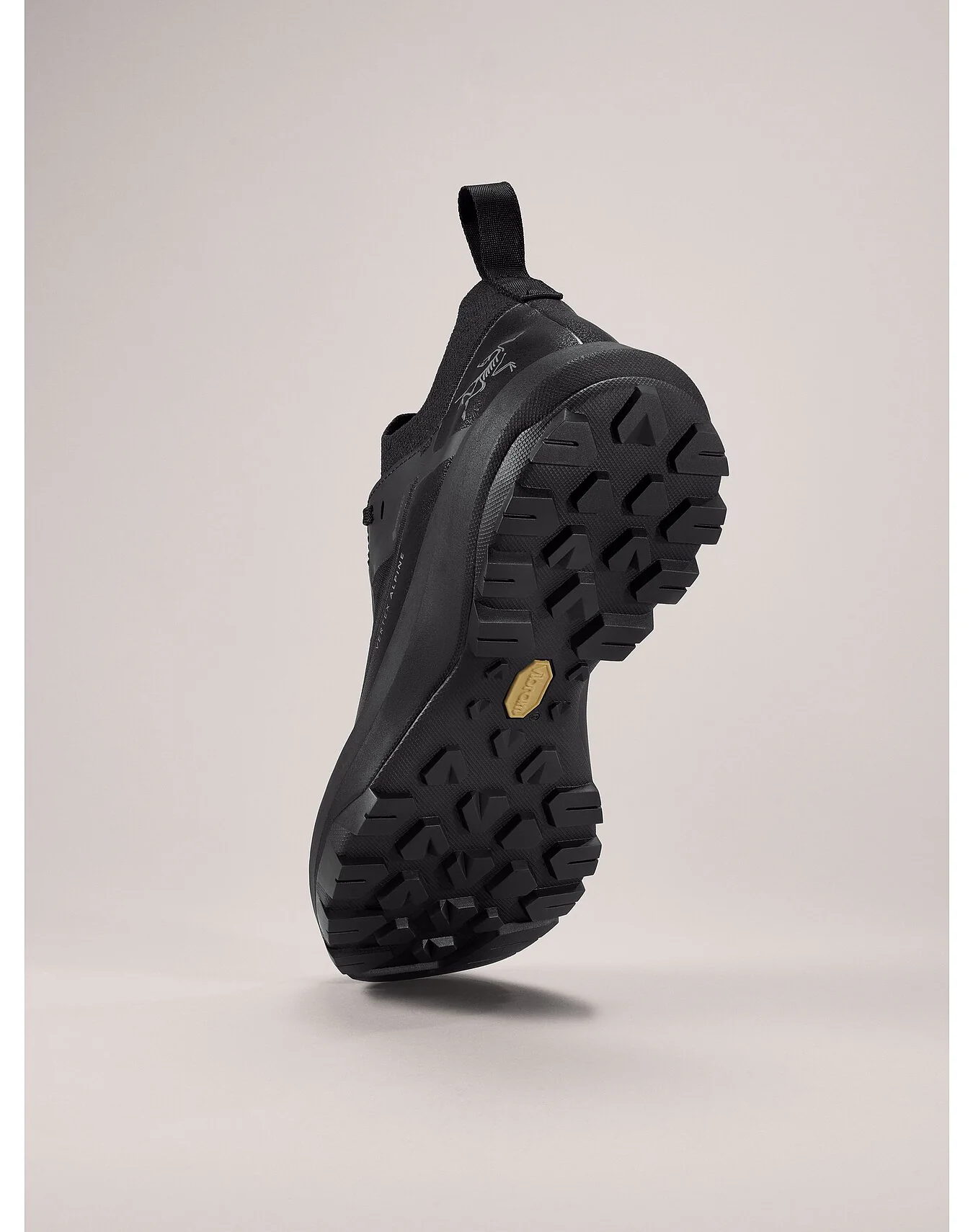 アークテリクス（ARC'TERYX）ヴァーテックスアルパイン ゴアテックス メンズ（VERTEX ALPINE GTX M'S） X000009018 カラー：Black/Black