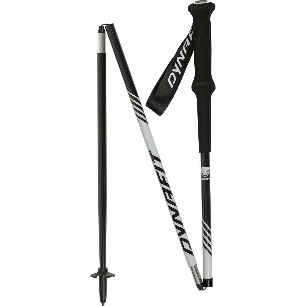 DYNAFIT Alpine Pro Pole