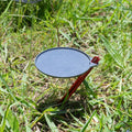TiNY 220 Lid