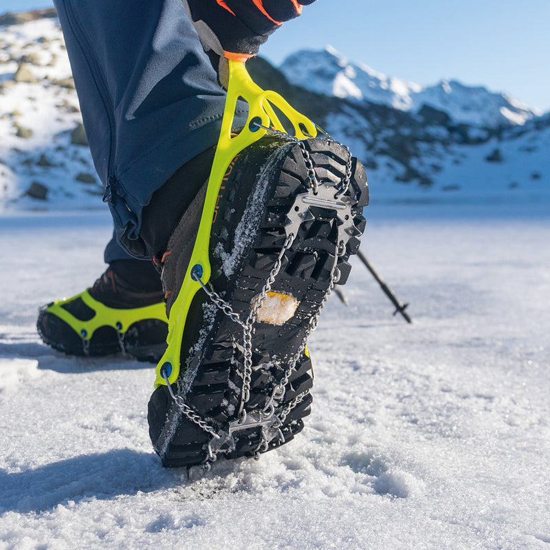 ノルテック　ファスト　フィールド写真