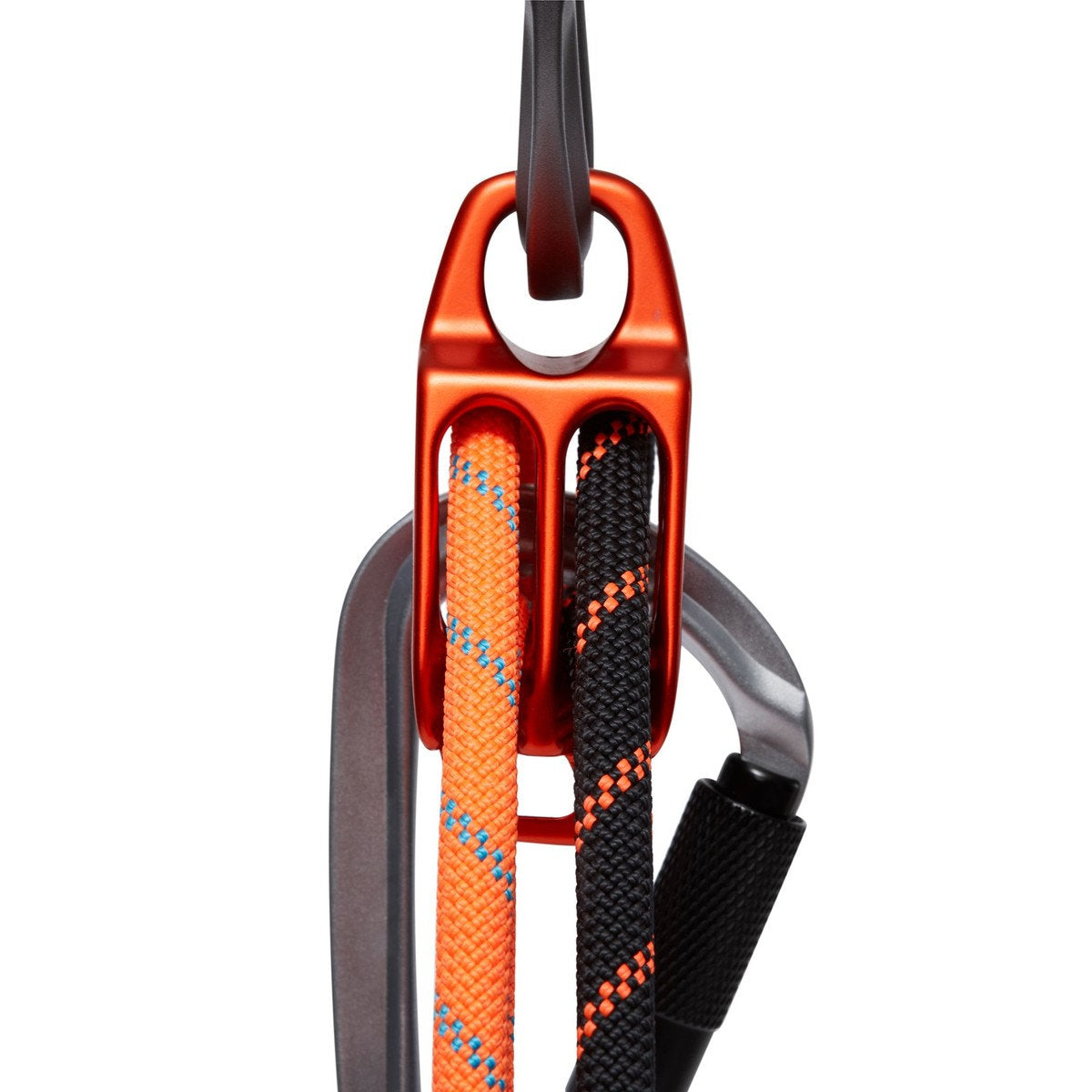マムート（MAMMUT）ウォール アルパイン ビレイ（Wall Alpine Belay）2210-01112