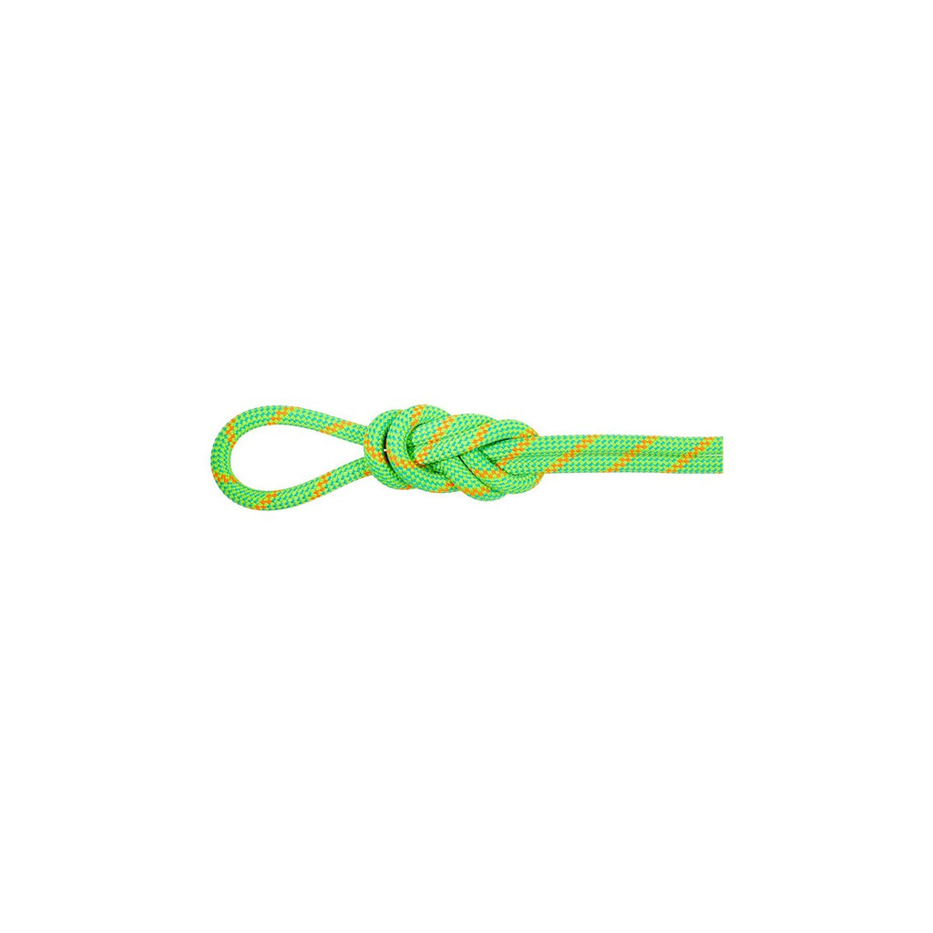 マムート（MAMMUT）8.0 アルパイン ドライ ロープ 60m 2010-07090