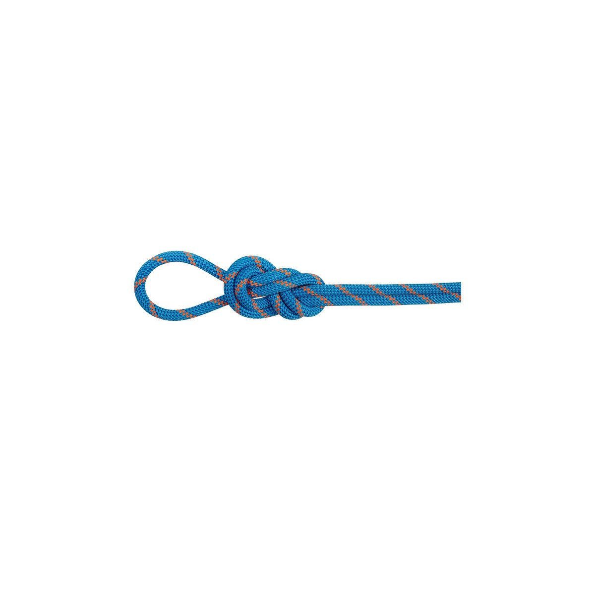 マムート（MAMMUT）8.0 アルパイン ドライ ロープ 50m 2010-07110