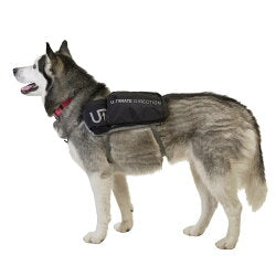 アルティメイトディレクション（ULTIMATE DIRECTION） ドッグベスト（DOG VEST）80469820