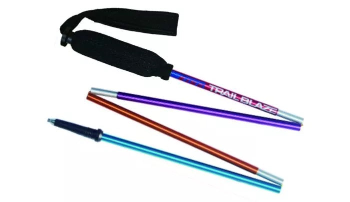 Mountain King Trail Blaze Harlequin (010-944)